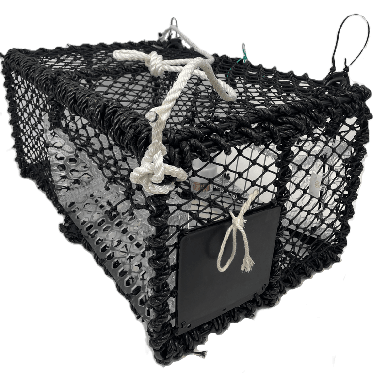 Scallop Trap 10,5kg