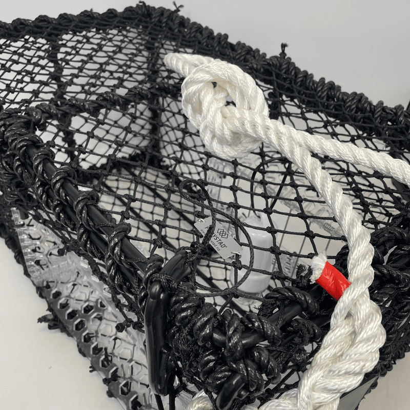 Kamskjellteine 10,5kg